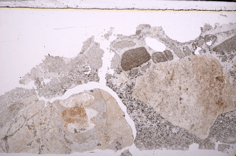 Plane Polarized, E29286