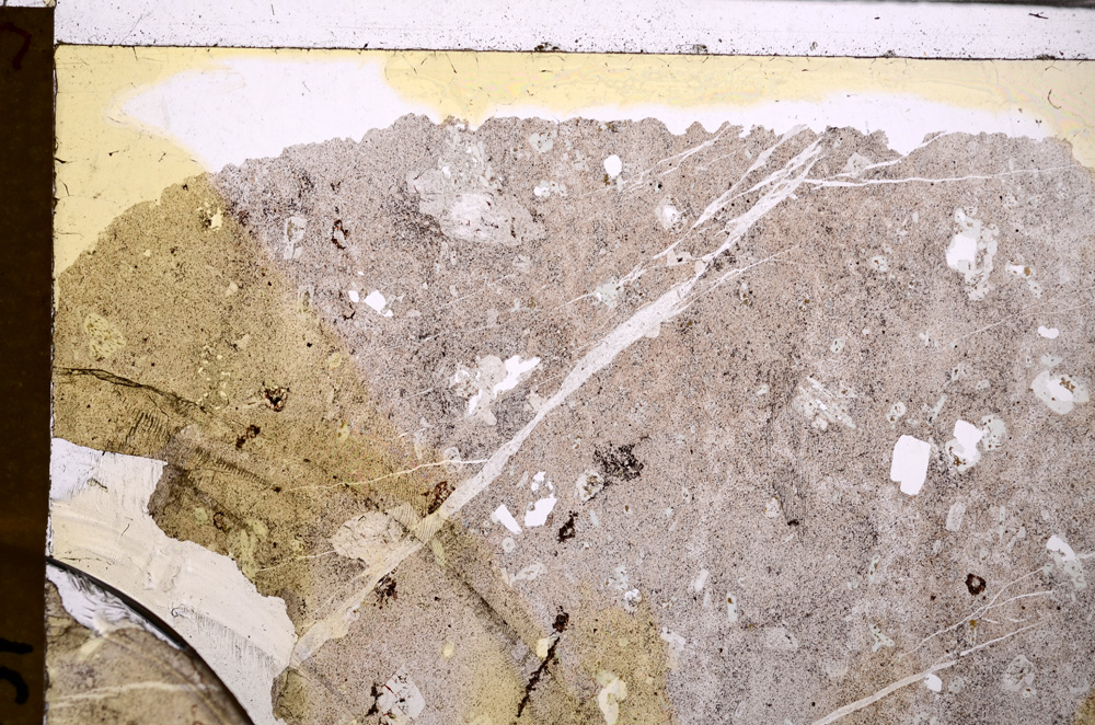 Plane Polarized, E29288