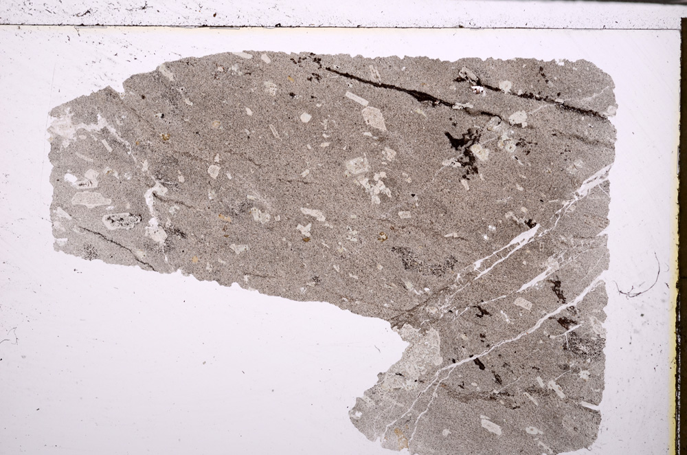 Plane Polarized, E29290