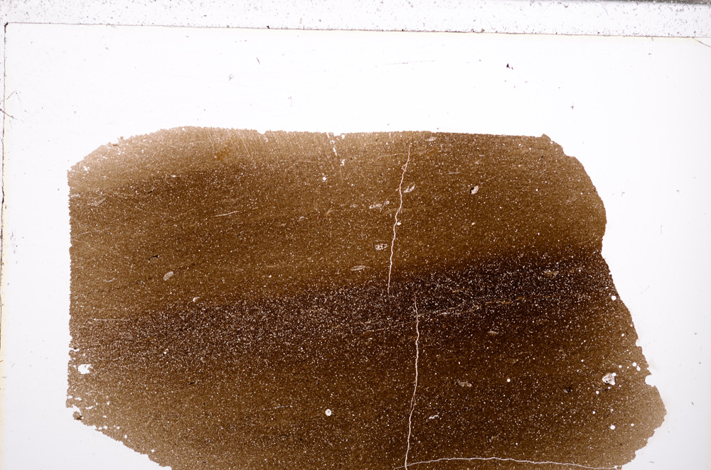 Plane Polarized, E29342