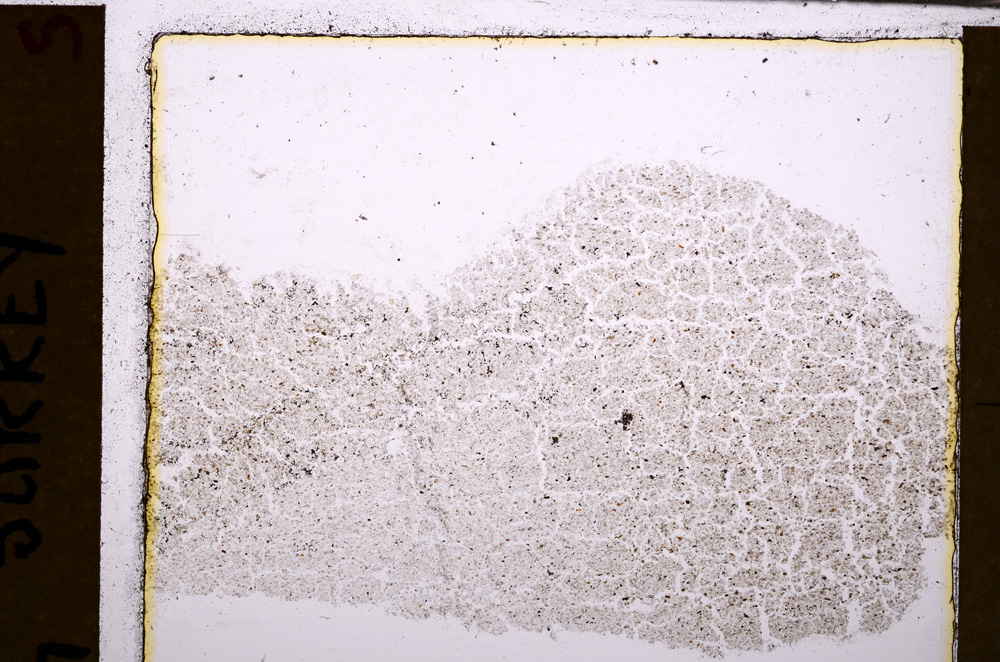 Plane Polarized, E29356