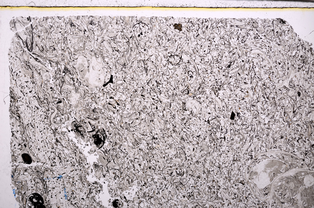 Plane Polarized, E29358