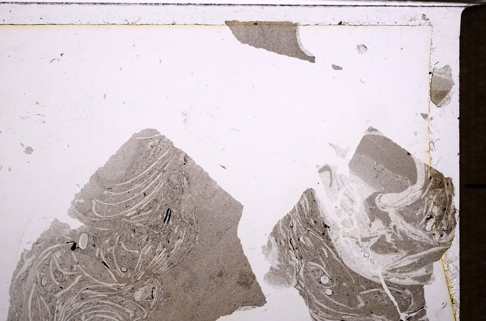 Plane Polarized, E29360