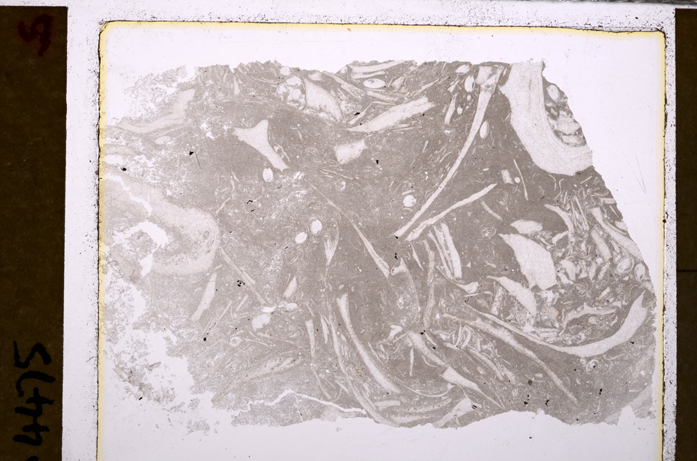 Plane Polarized, E29361