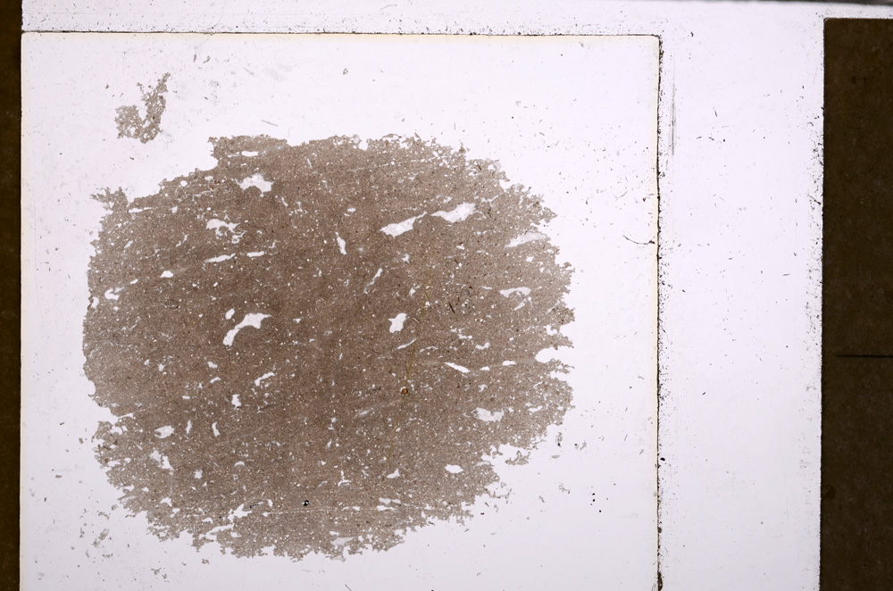 Plane Polarized, E29362