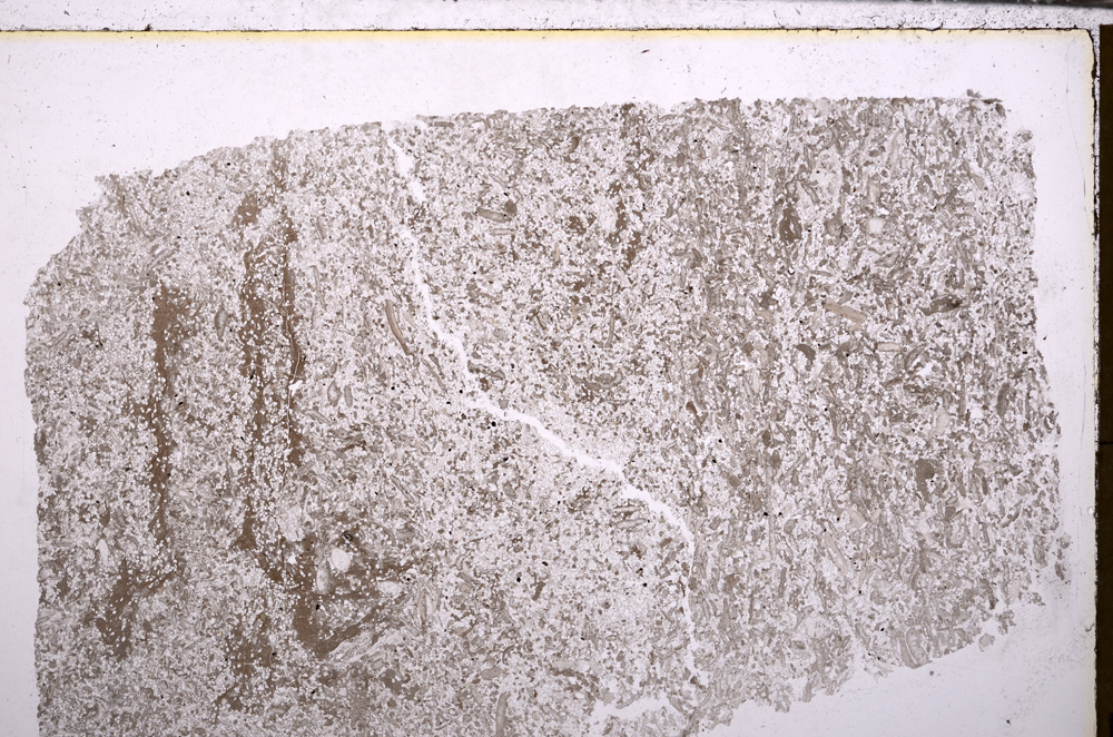 Plane Polarized, E29364