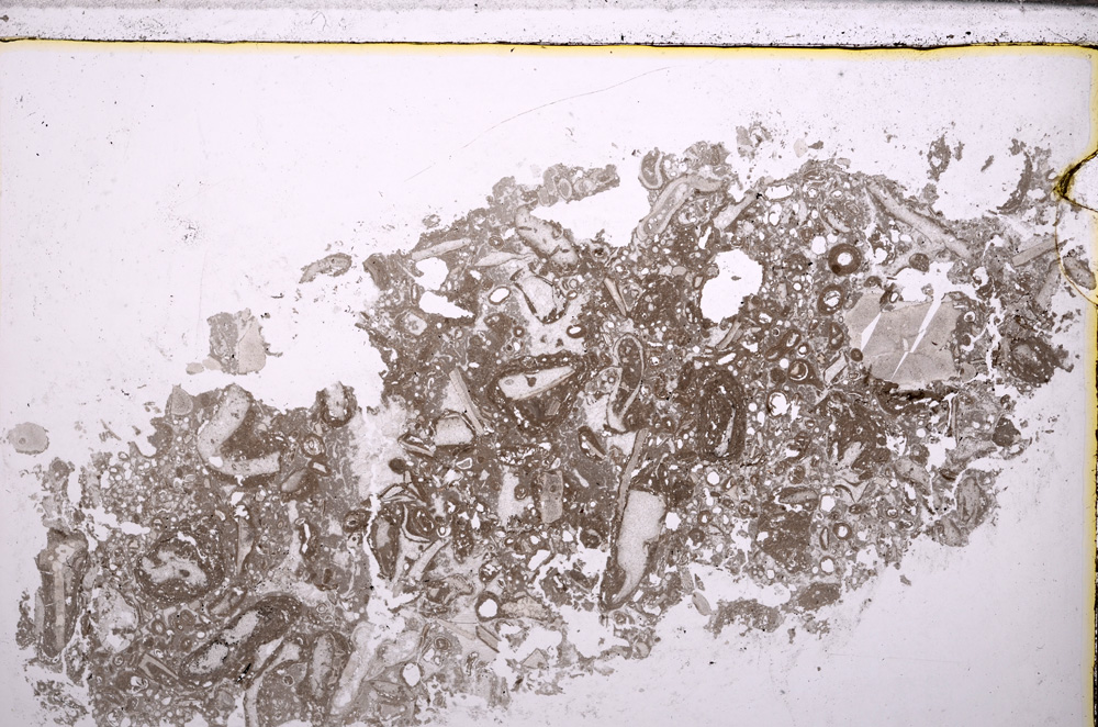 Plane Polarized, E29369