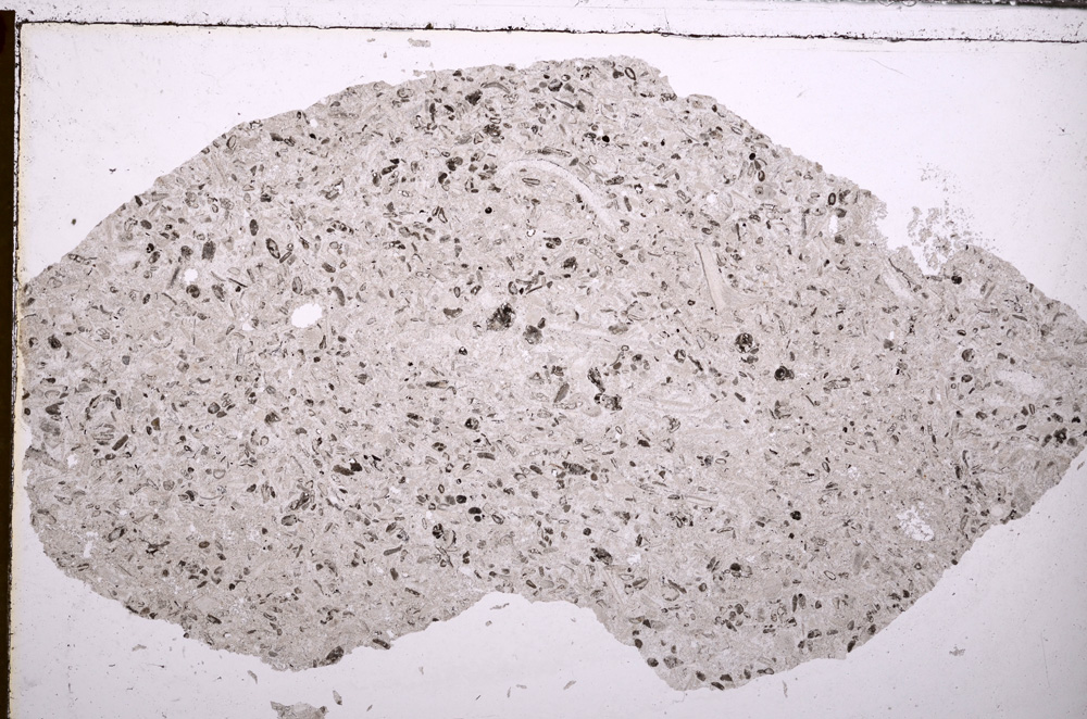 Plane Polarized, E29371