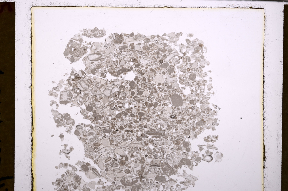 Plane Polarized, E29376