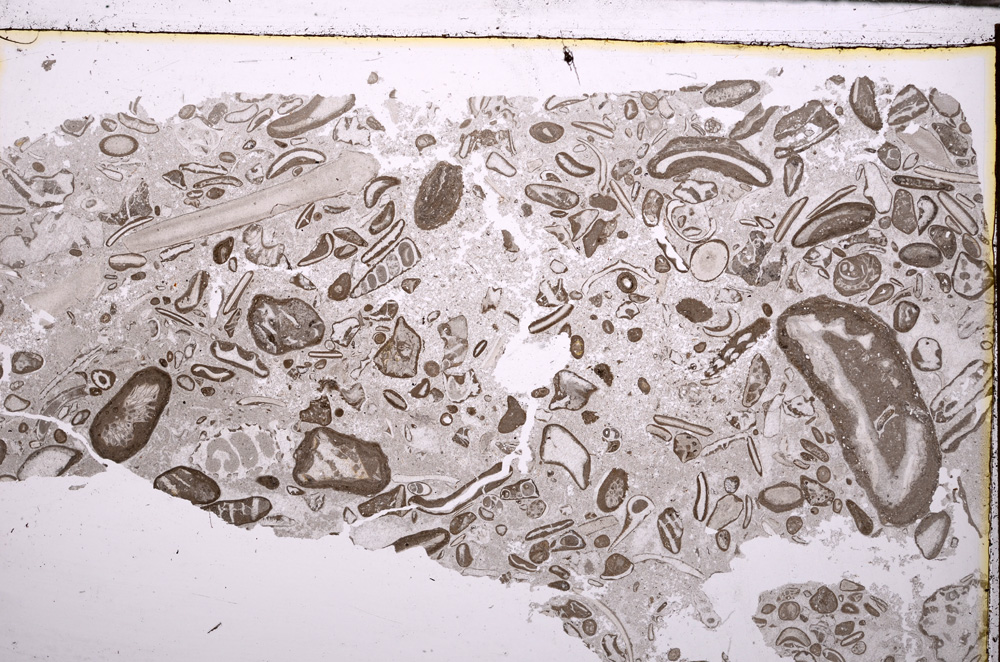 Plane Polarized, E29381