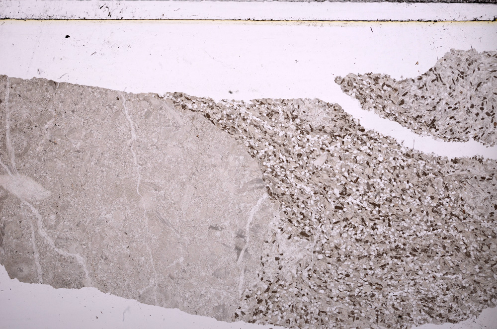 Plane Polarized, E29385