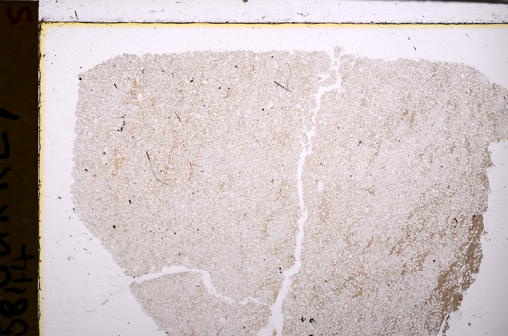 Plane Polarized, E29387