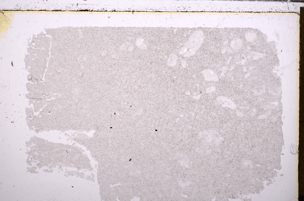 Plane Polarized, E29388