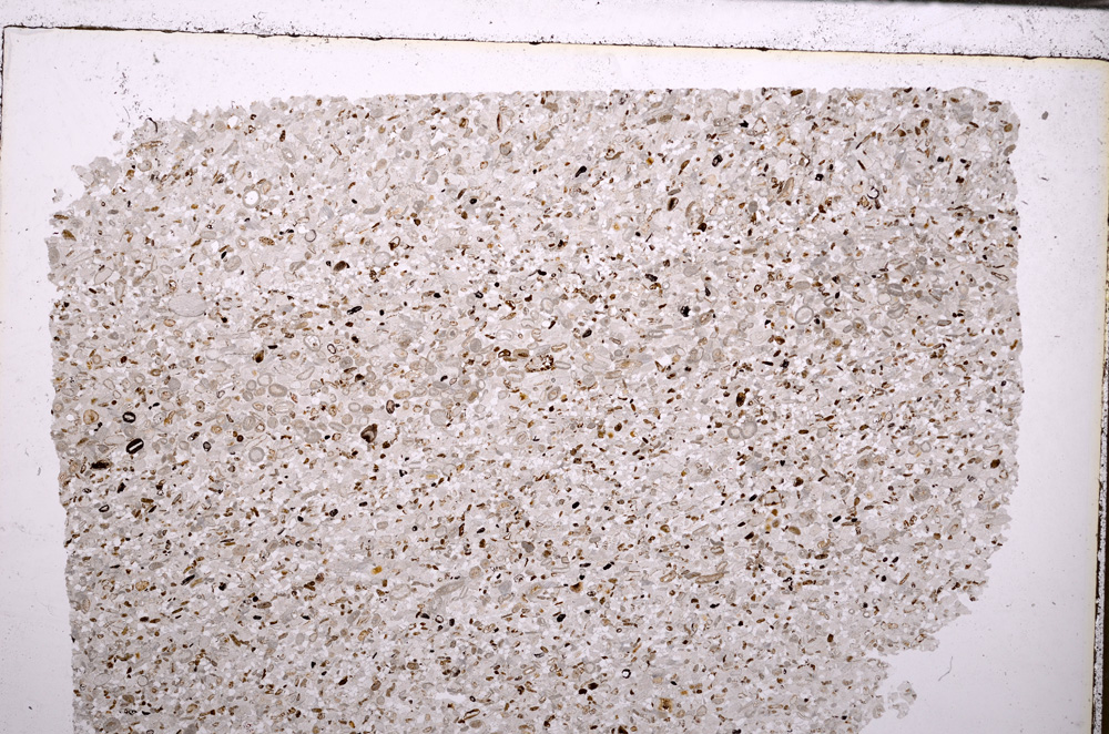 Plane Polarized, E29392