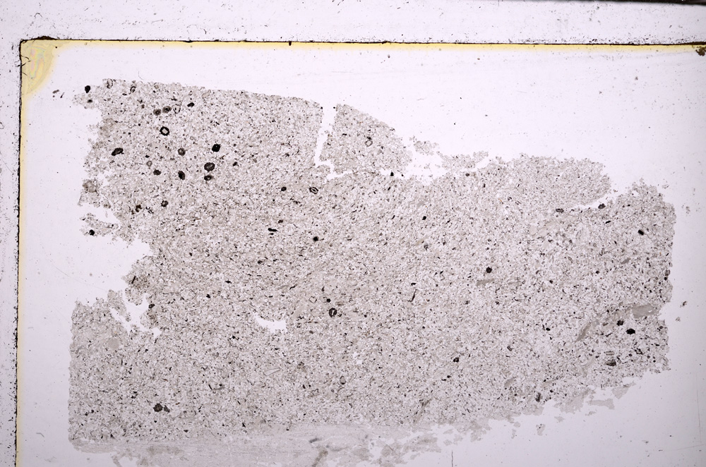 Plane Polarized, E29394