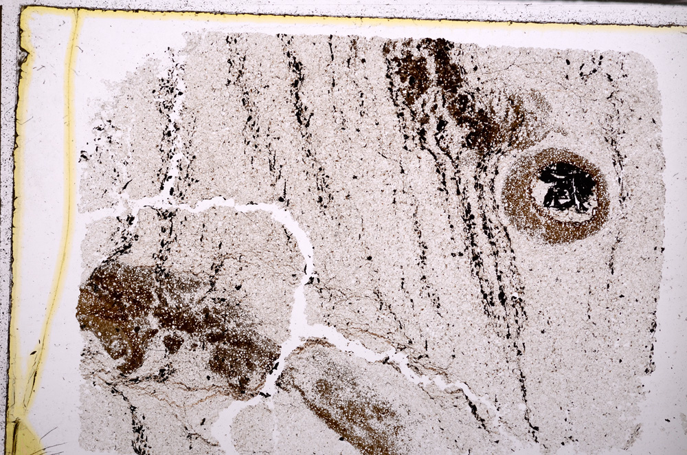 Plane Polarized, E29396