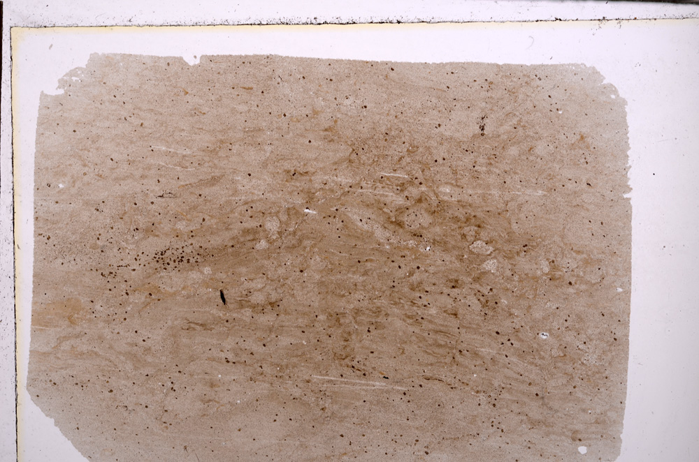 Plane Polarized, E29397