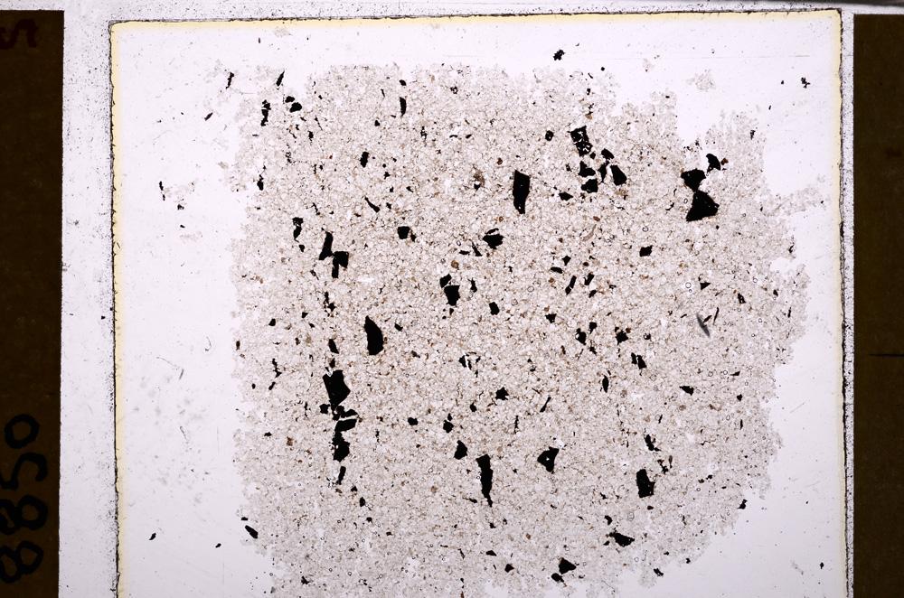 Plane Polarized, E29398