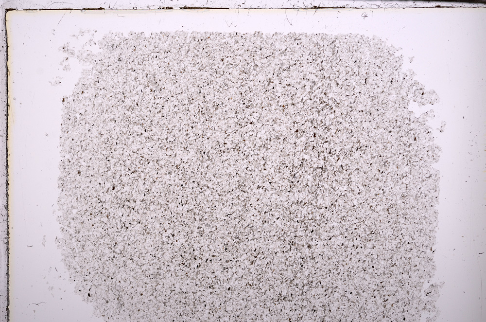 Plane Polarized, E29400