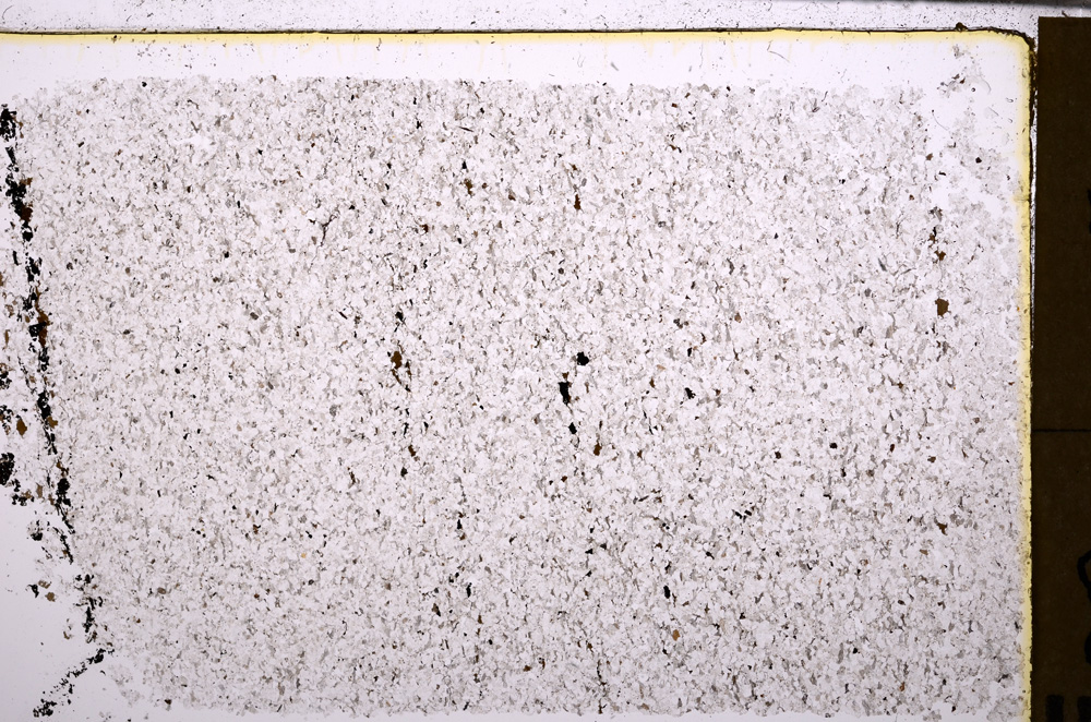 Plane Polarized, E29401