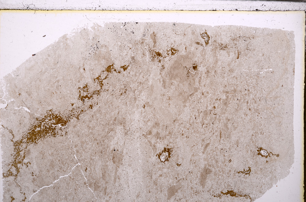 Plane Polarized, E29403