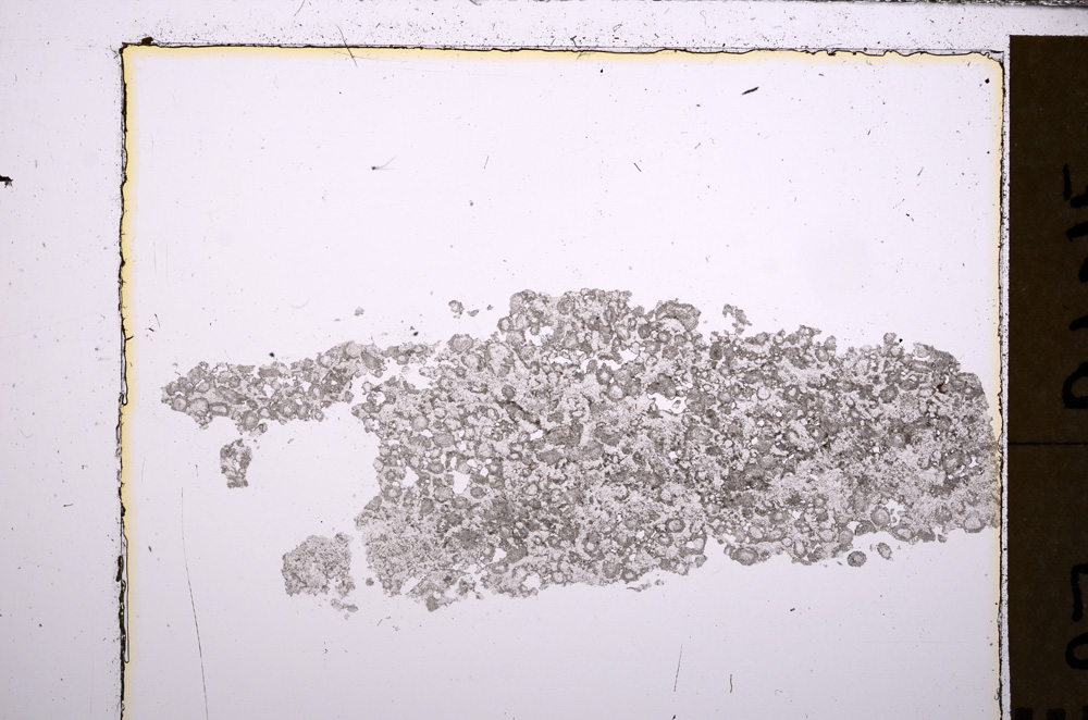 Plane Polarized, E29422