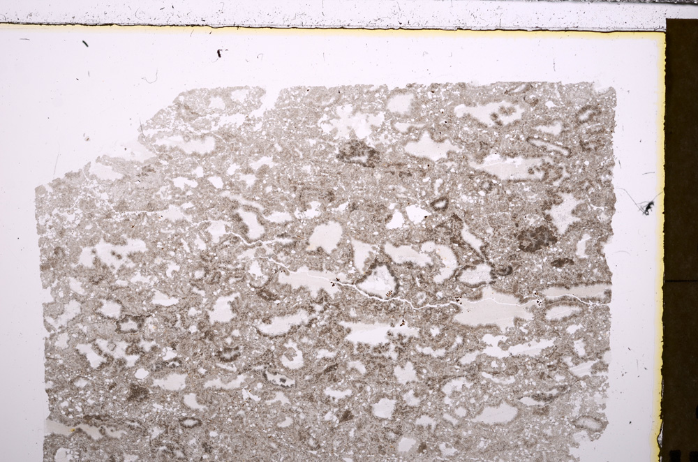 Plane Polarized, E29423