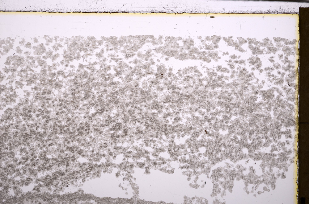 Plane Polarized, E29424