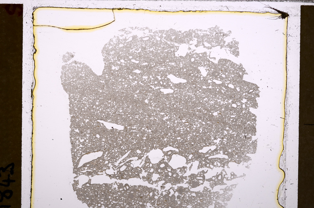 Plane Polarized, E29425