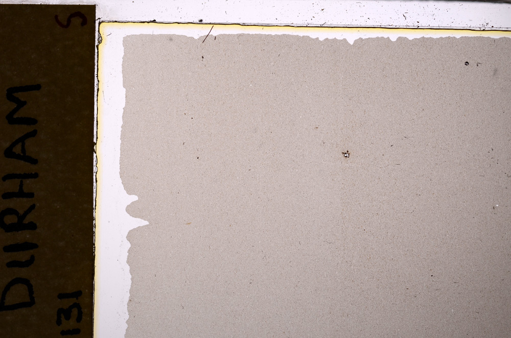 Plane Polarized, E29473