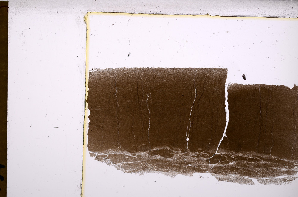 Plane Polarized, E29566