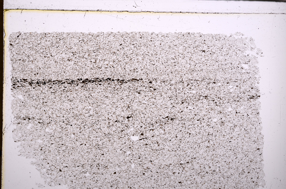 Plane Polarized, E29567