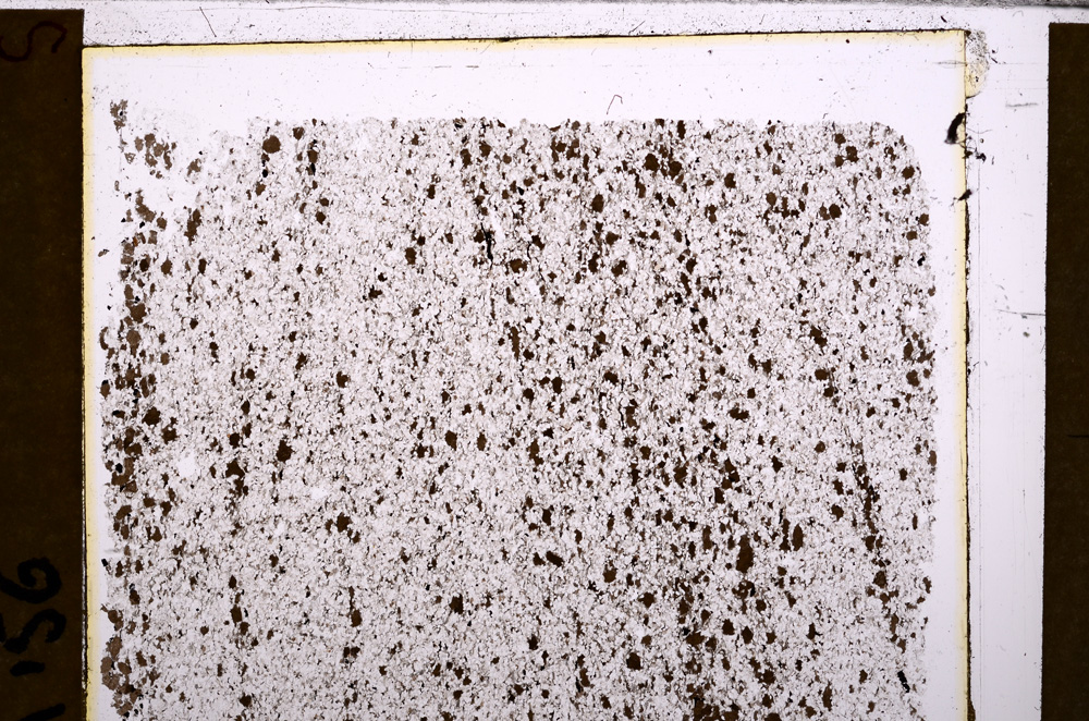 Plane Polarized, E29568