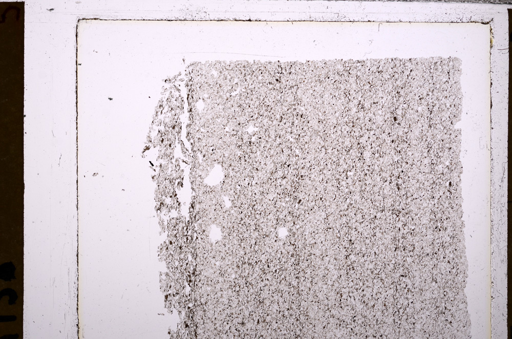 Plane Polarized, E29570