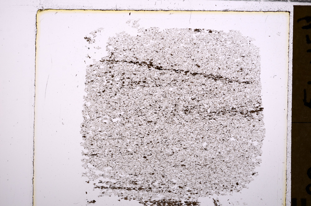 Plane Polarized, E29571