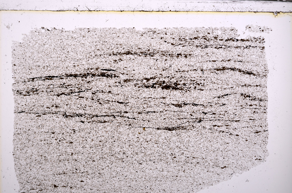 Plane Polarized, E29574