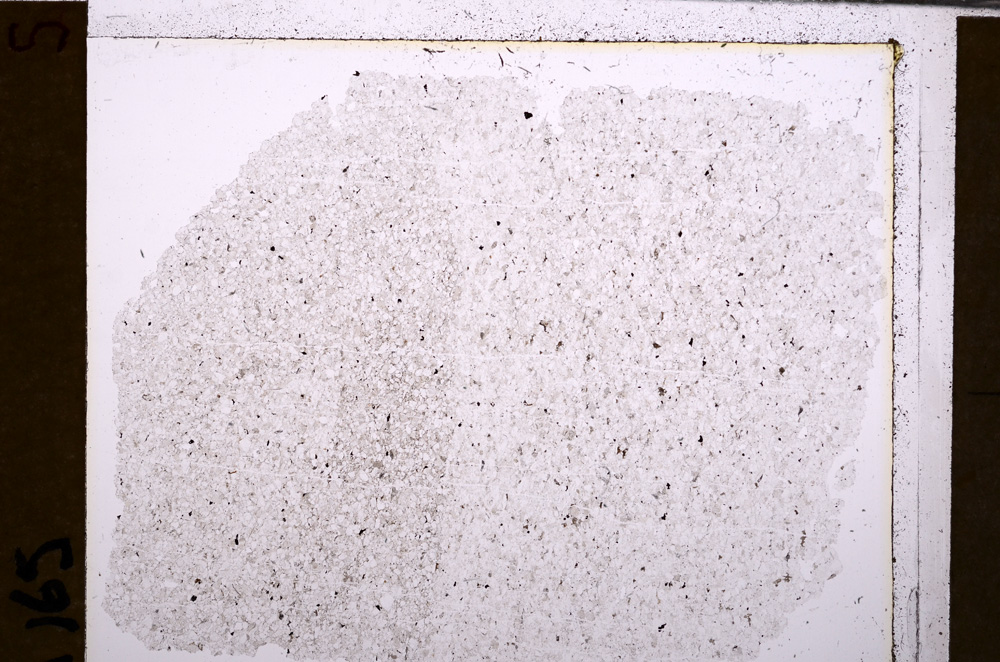 Plane Polarized, E29577