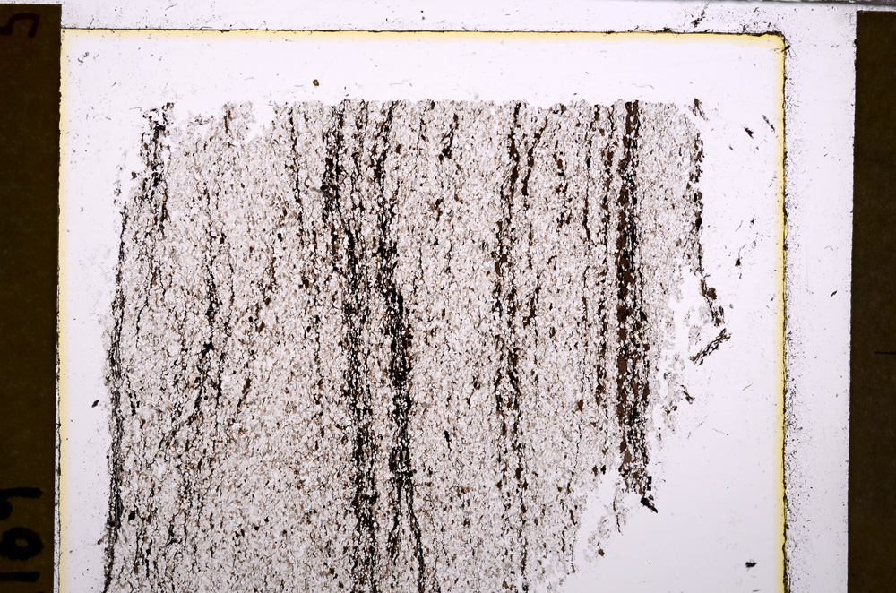 Plane Polarized, E29581