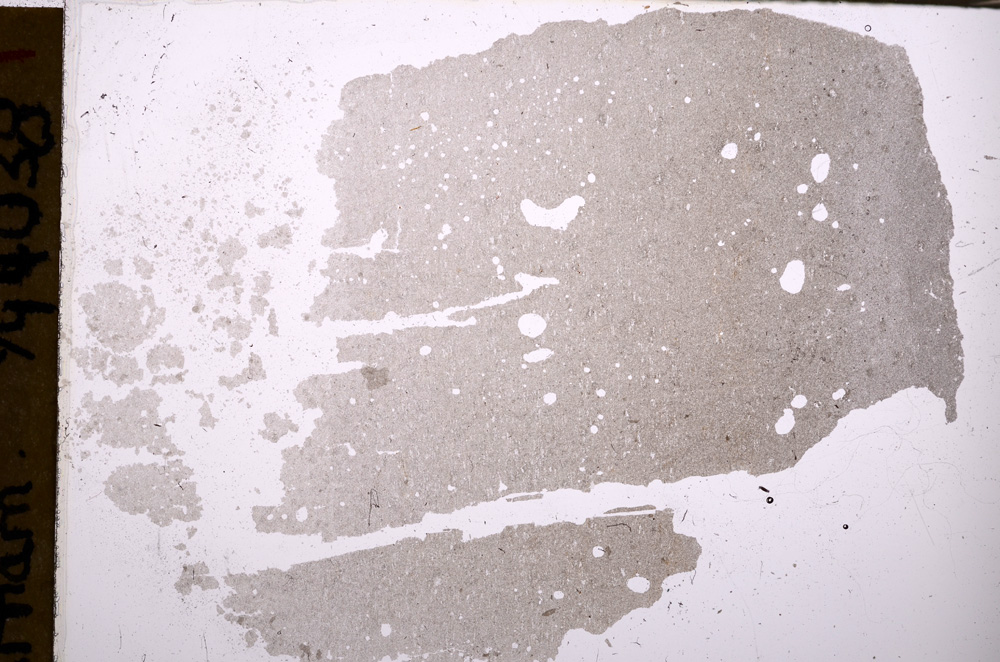 Plane Polarized, E29583