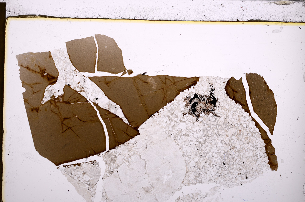 Plane Polarized, E29654