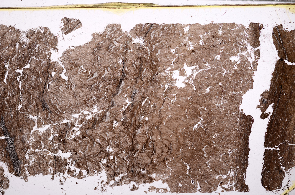 Plane Polarized, E29821