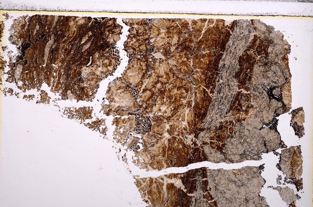 Plane Polarized, E29822