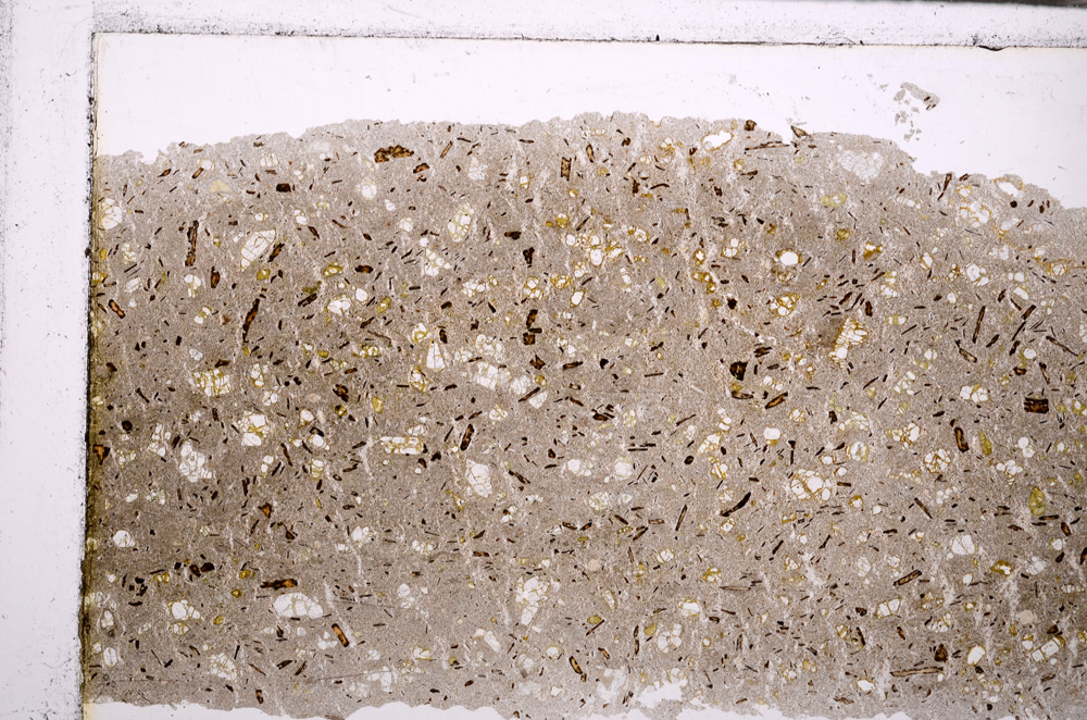 Plane Polarized, E29879