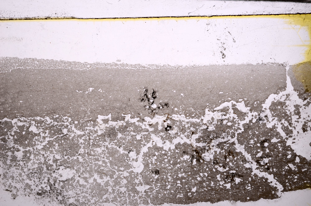 Plane Polarized, E29985