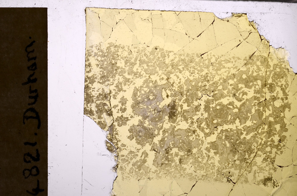 Plane Polarized, E29986