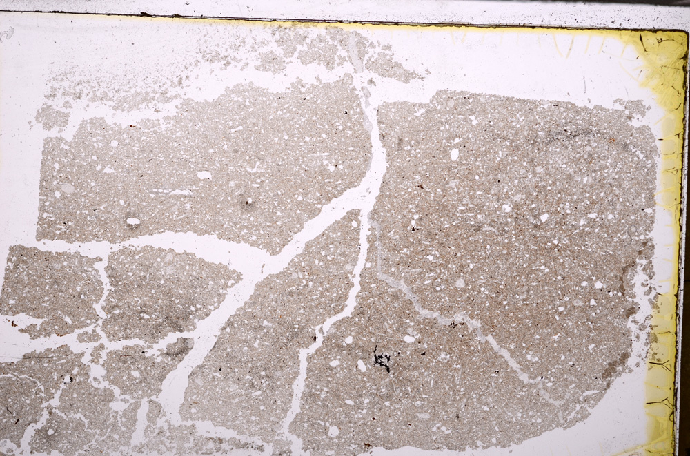 Plane Polarized, E29987