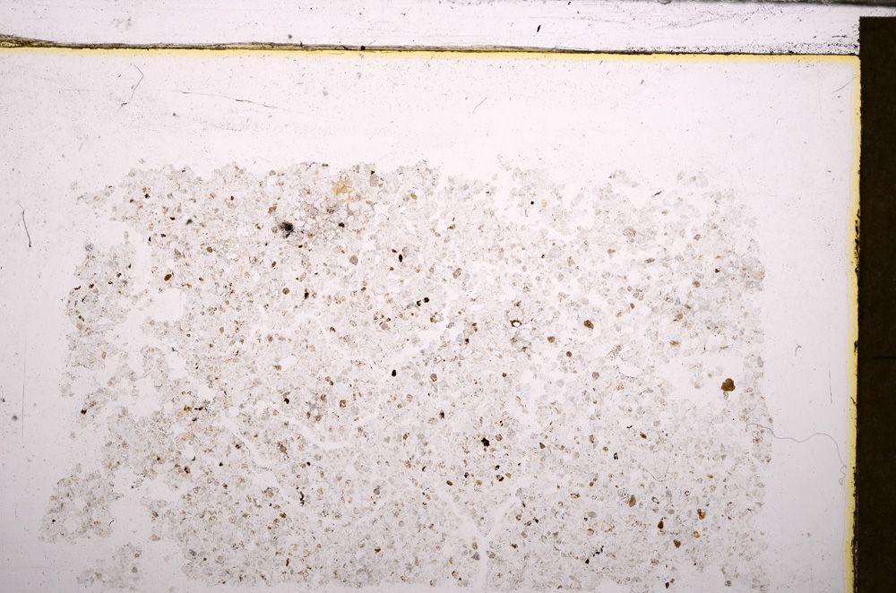 Plane Polarized, E30004