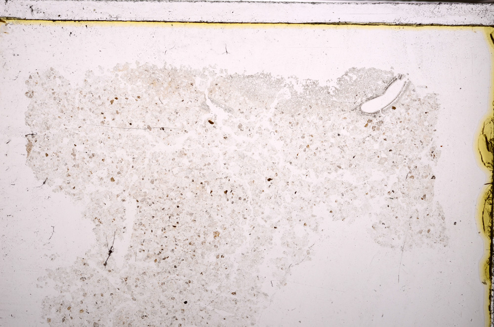 Plane Polarized, E30005