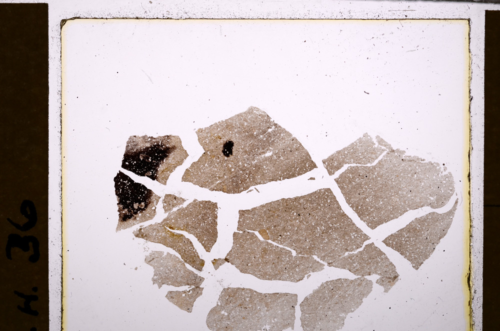 Plane Polarized, E30039