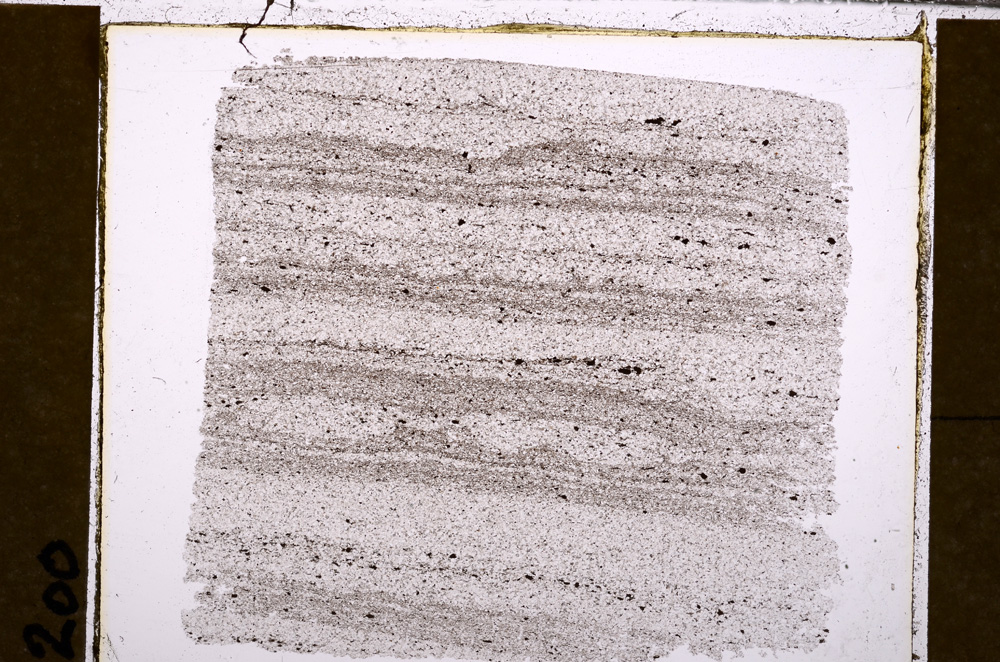 Plane Polarized, E30078